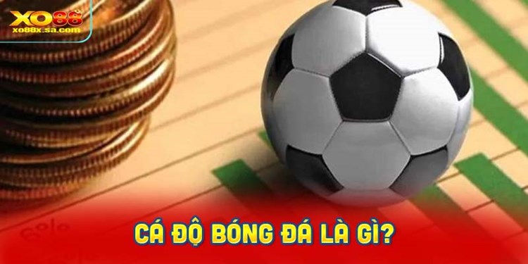 Cá độ bóng đá là gì?