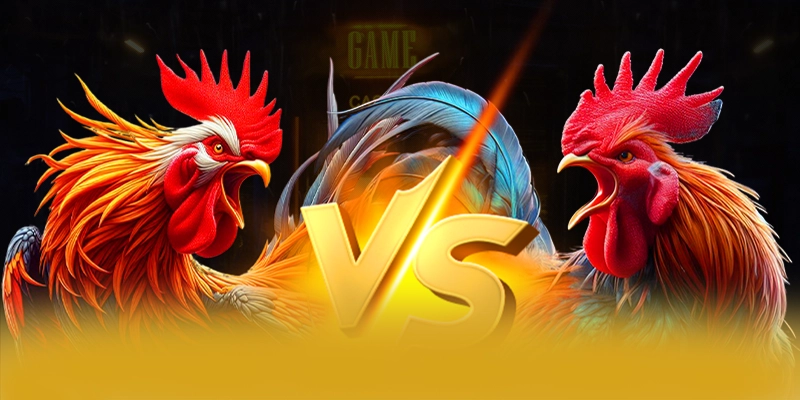 8XBET - Cong giai tri hien dai tren thi truong