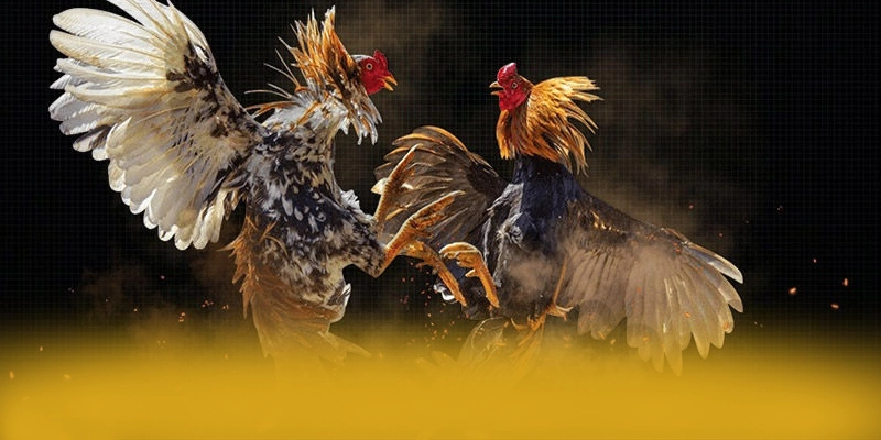 Bảo mật dữ liệu cá nhân tại 8XBET Bảo mật dữ liệu cá nhân tại 8XBET