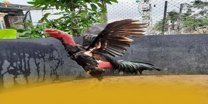 An toàn dữ liệu cá nhân tại GOOD88 An toàn dữ liệu cá nhân tại GOOD88