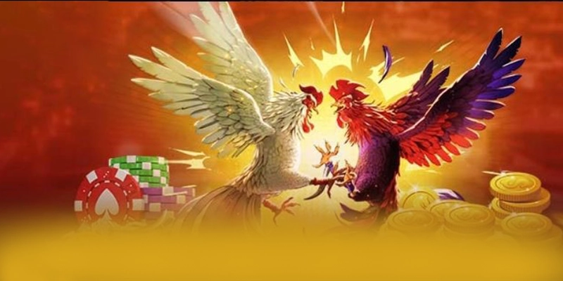 Giới thiệu FB88 - Cổng game chất lượng hiện nay Giới thiệu FB88 - Cổng game chất lượng hiện nay